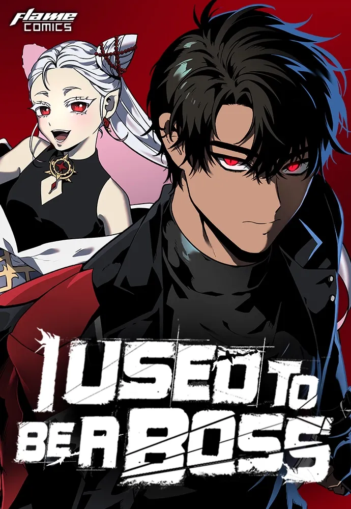 Couverture de I Used To Be A Boss