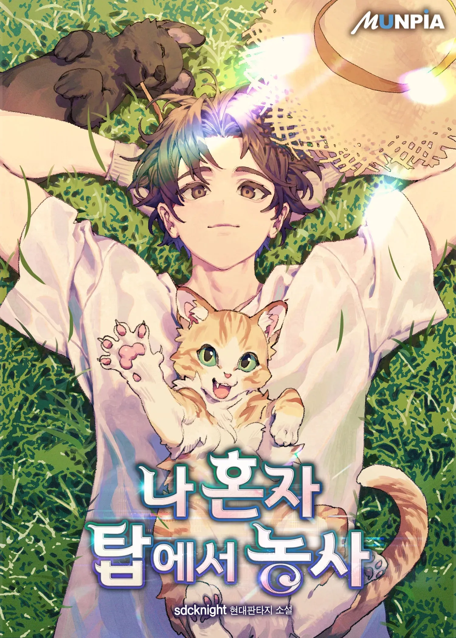 Solo Farming In The Tower image de couverture