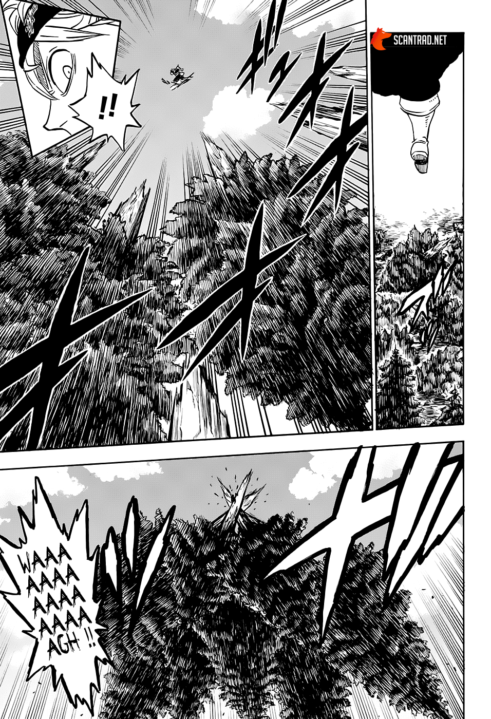 Black Clover Chapitre 241 - Page 3
