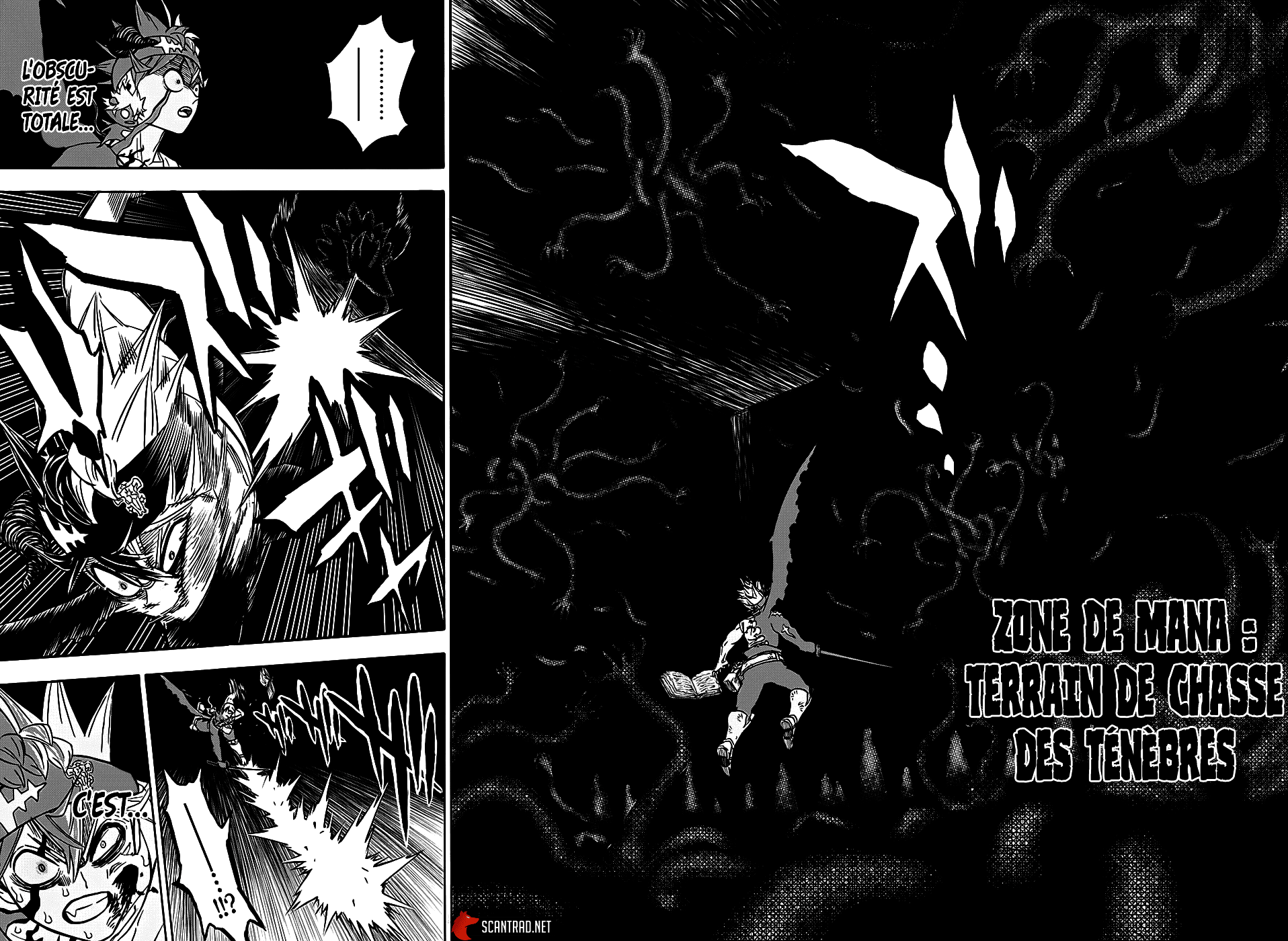 Black Clover Chapitre 272 - Page 11