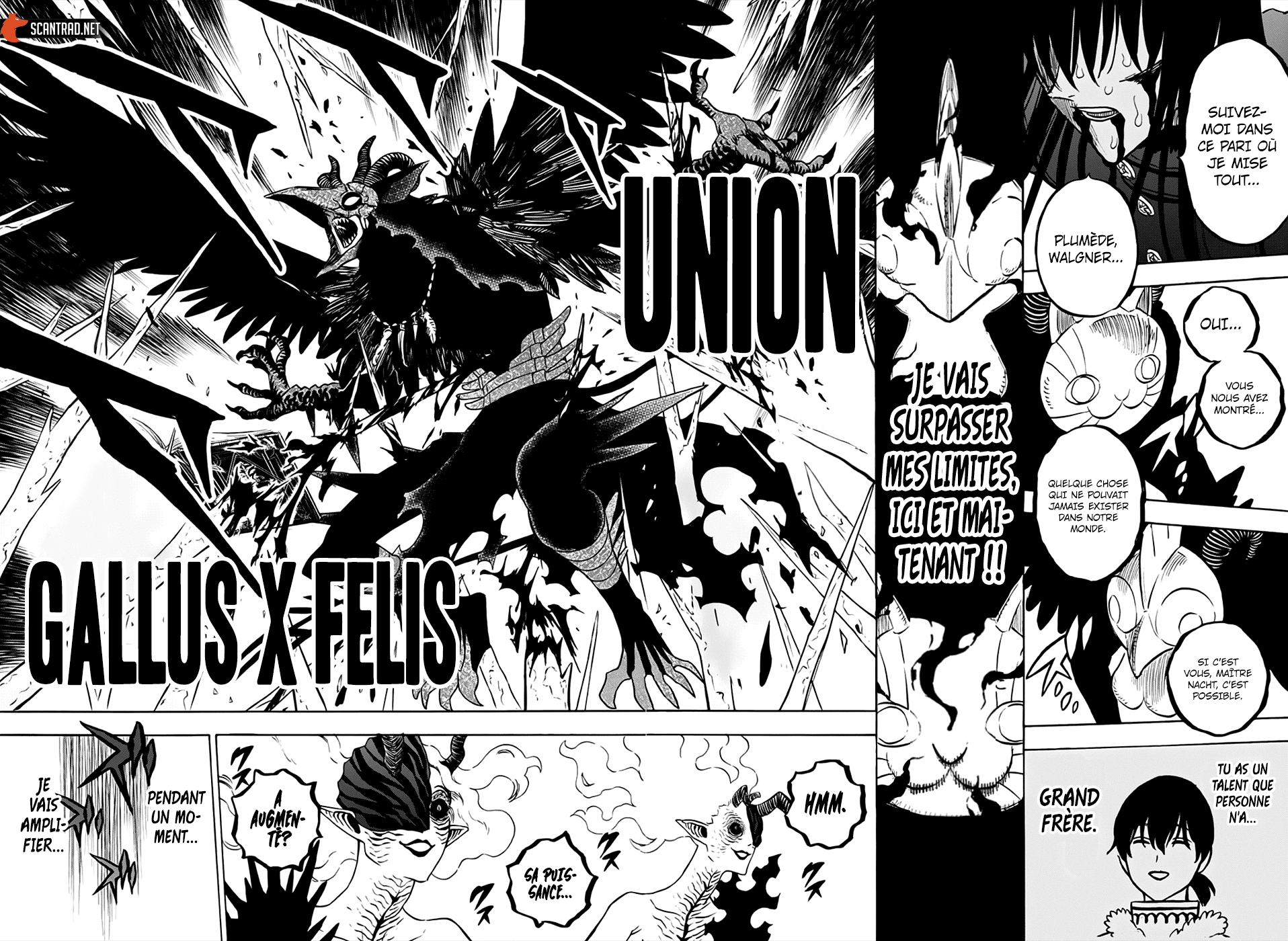 Black Clover Chapitre 287 - Page 7