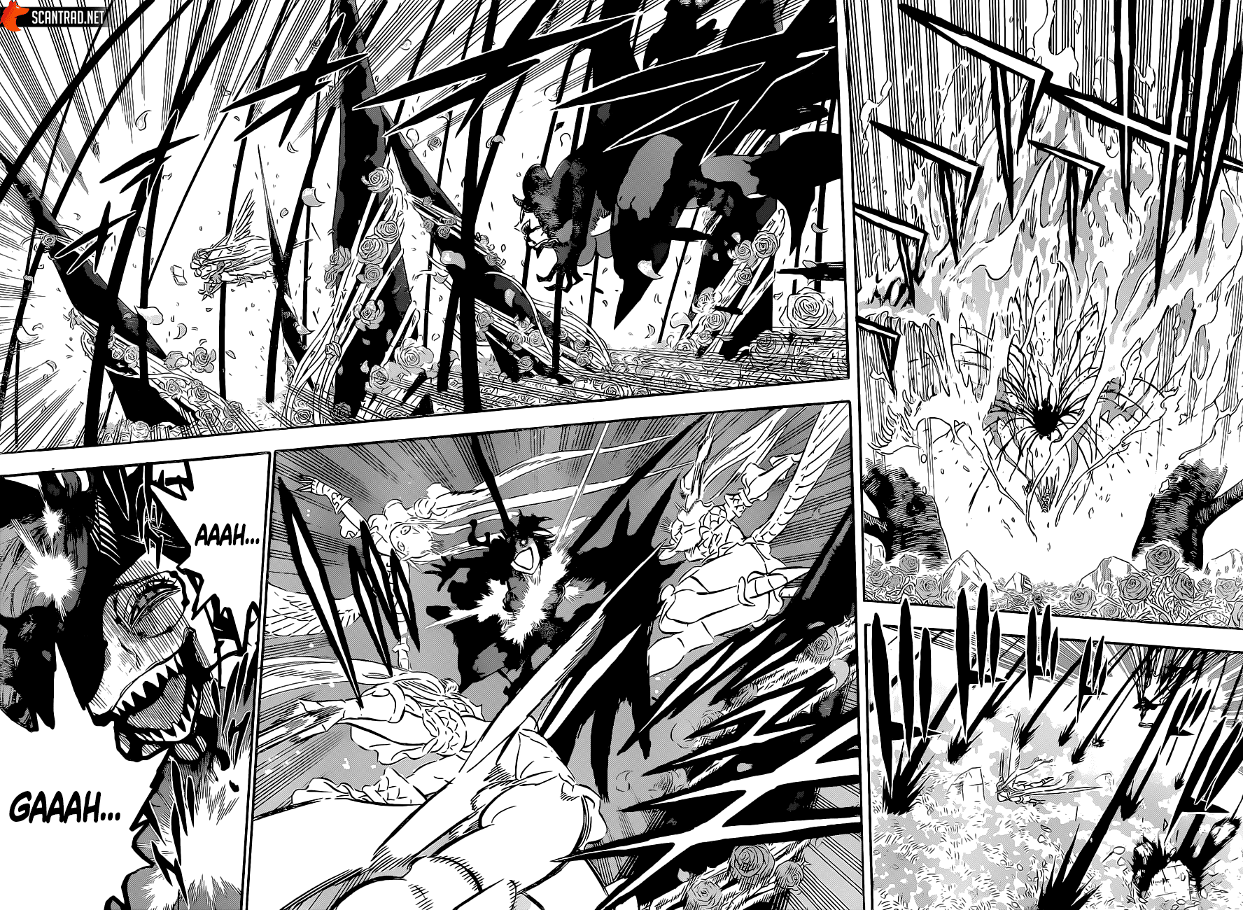 Black Clover Chapitre 297 - Page 3