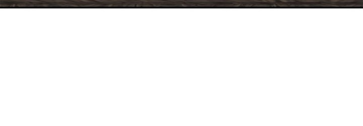 Chronicles of the Demon Faction Chapitre 131 - Page 153