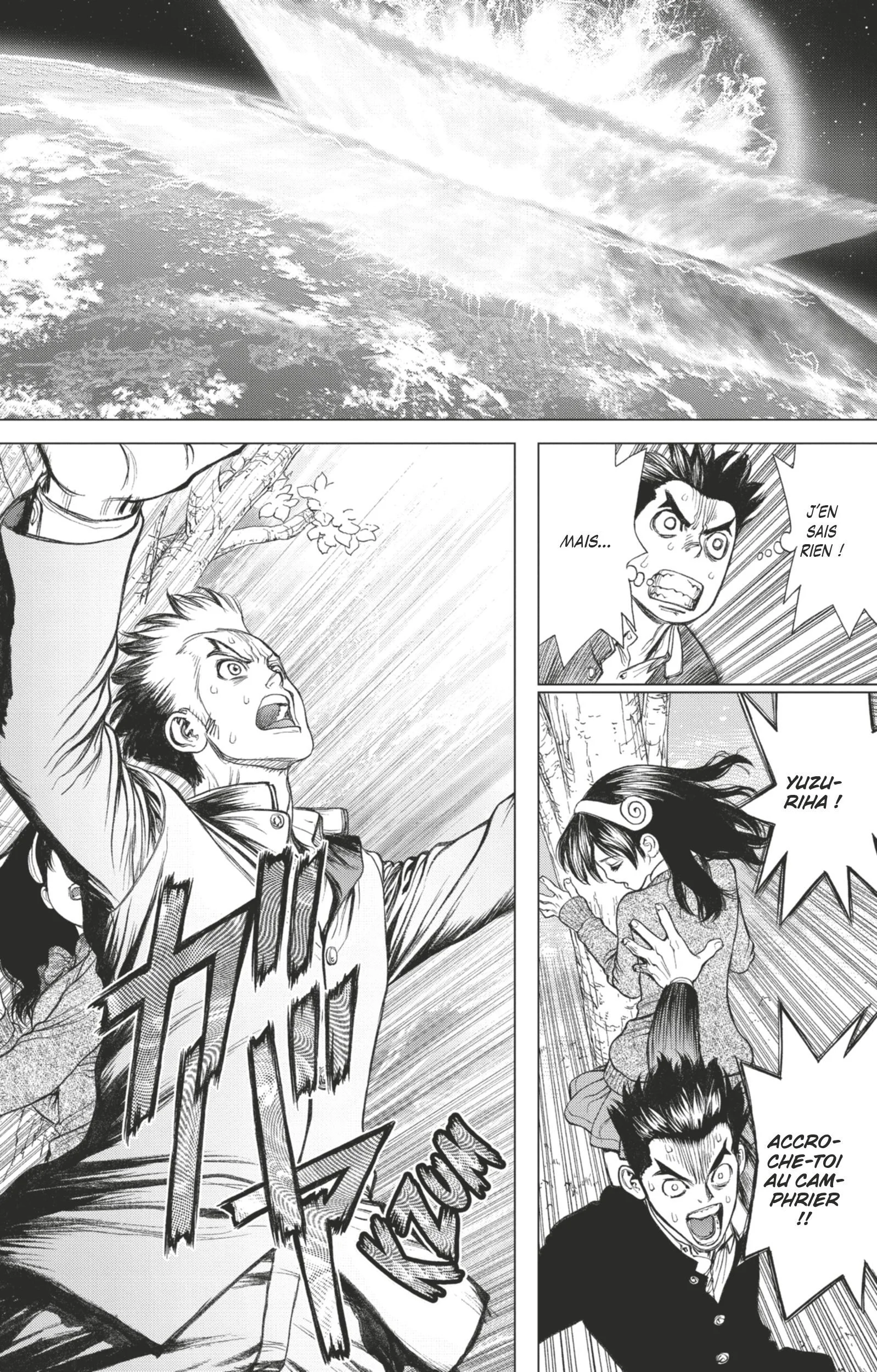 Dr. STONE Chapitre 1 - Page 15