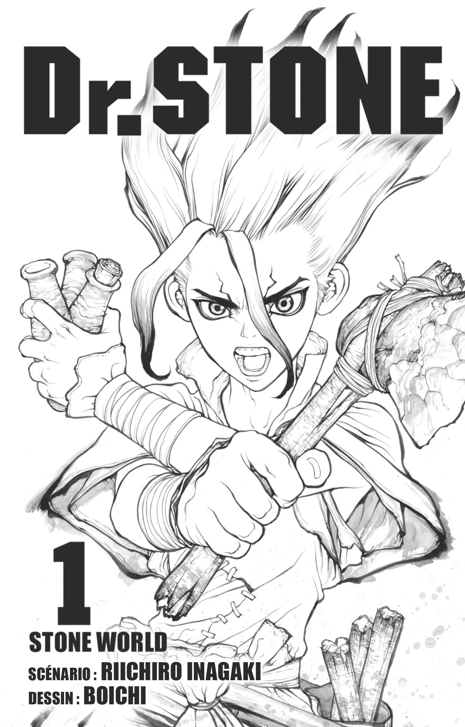 Dr. STONE Chapitre 1 - Page 2