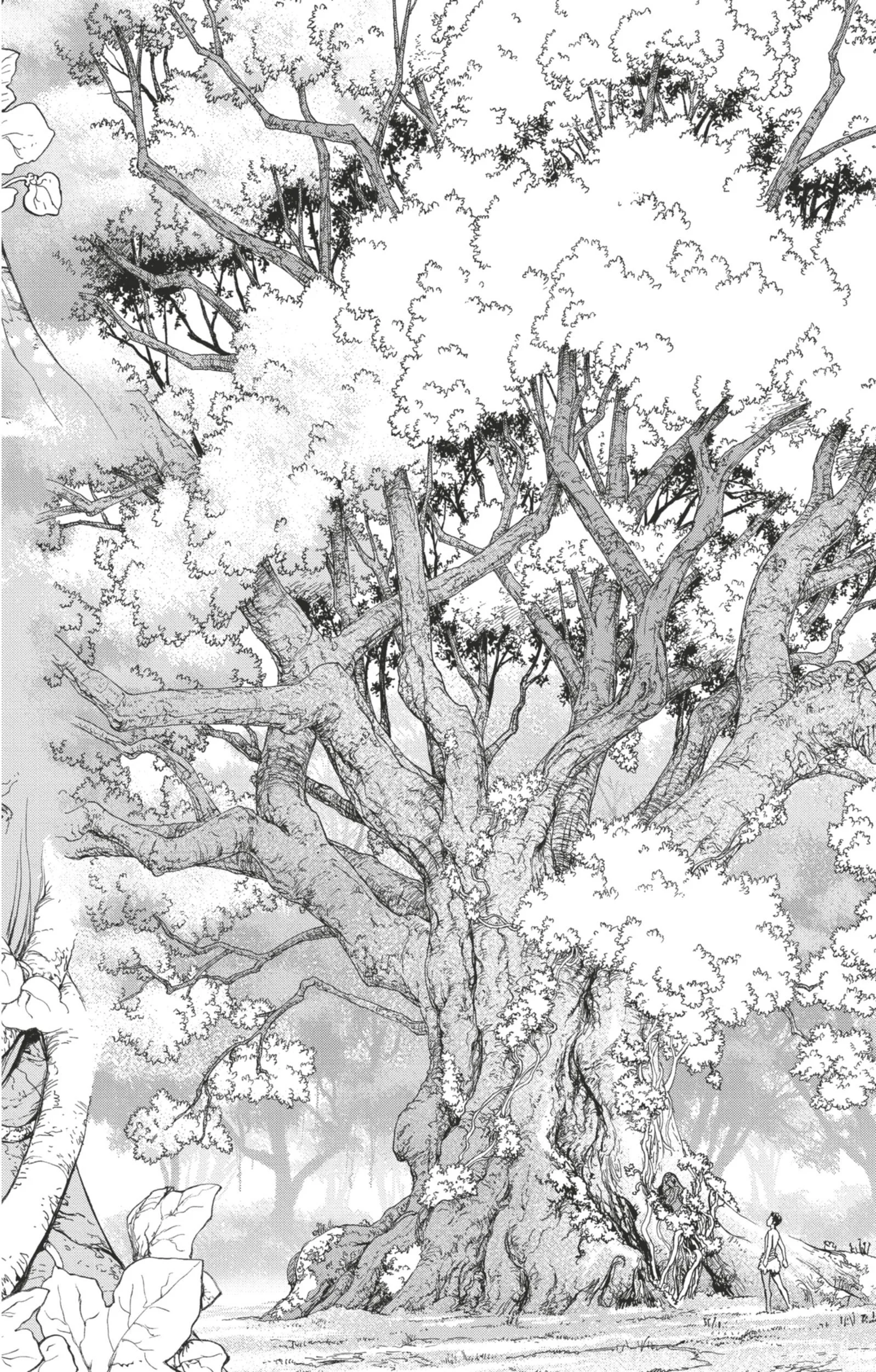 Dr. STONE Chapitre 1 - Page 41