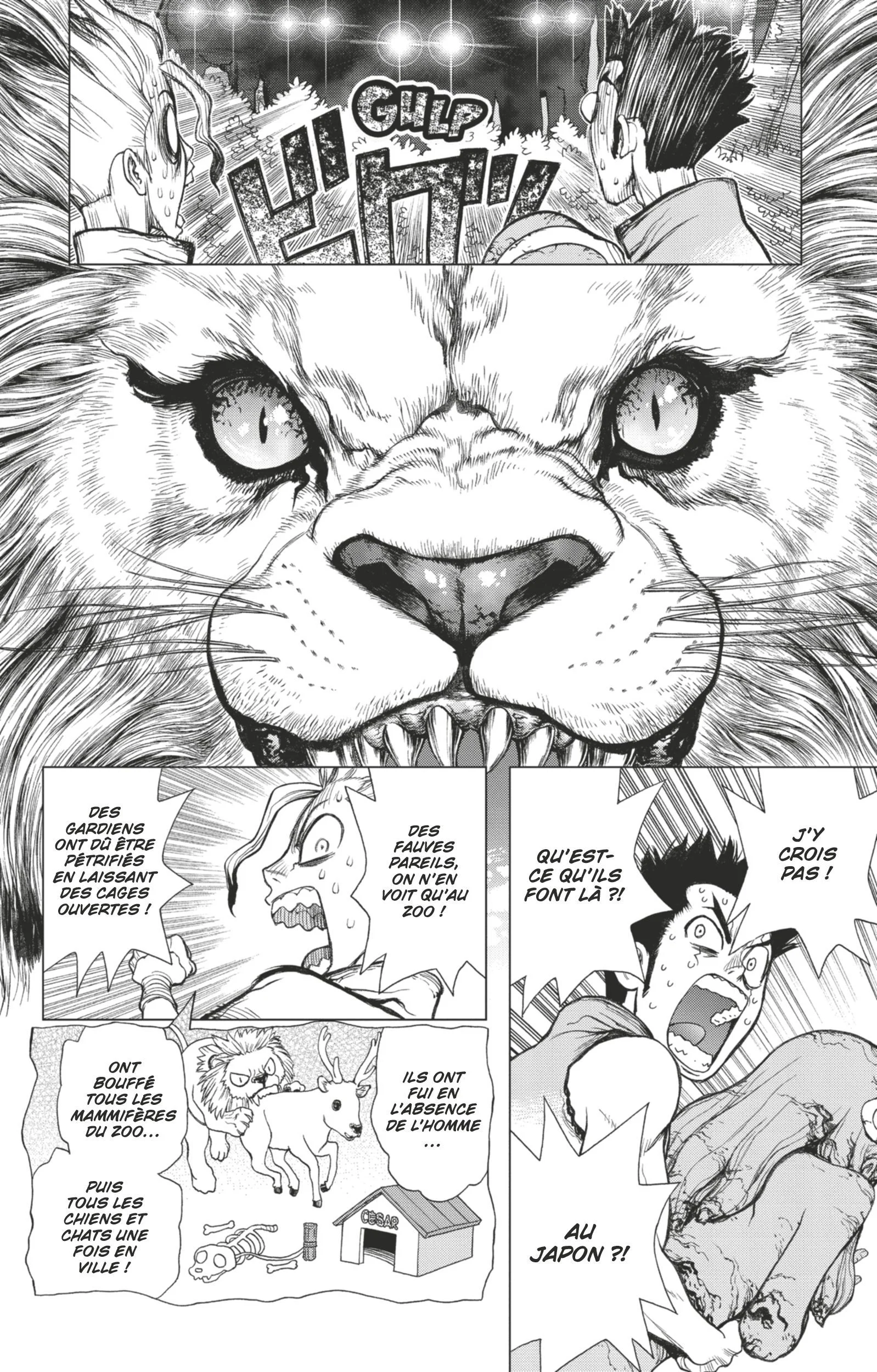 Dr. STONE Chapitre 1 - Page 89