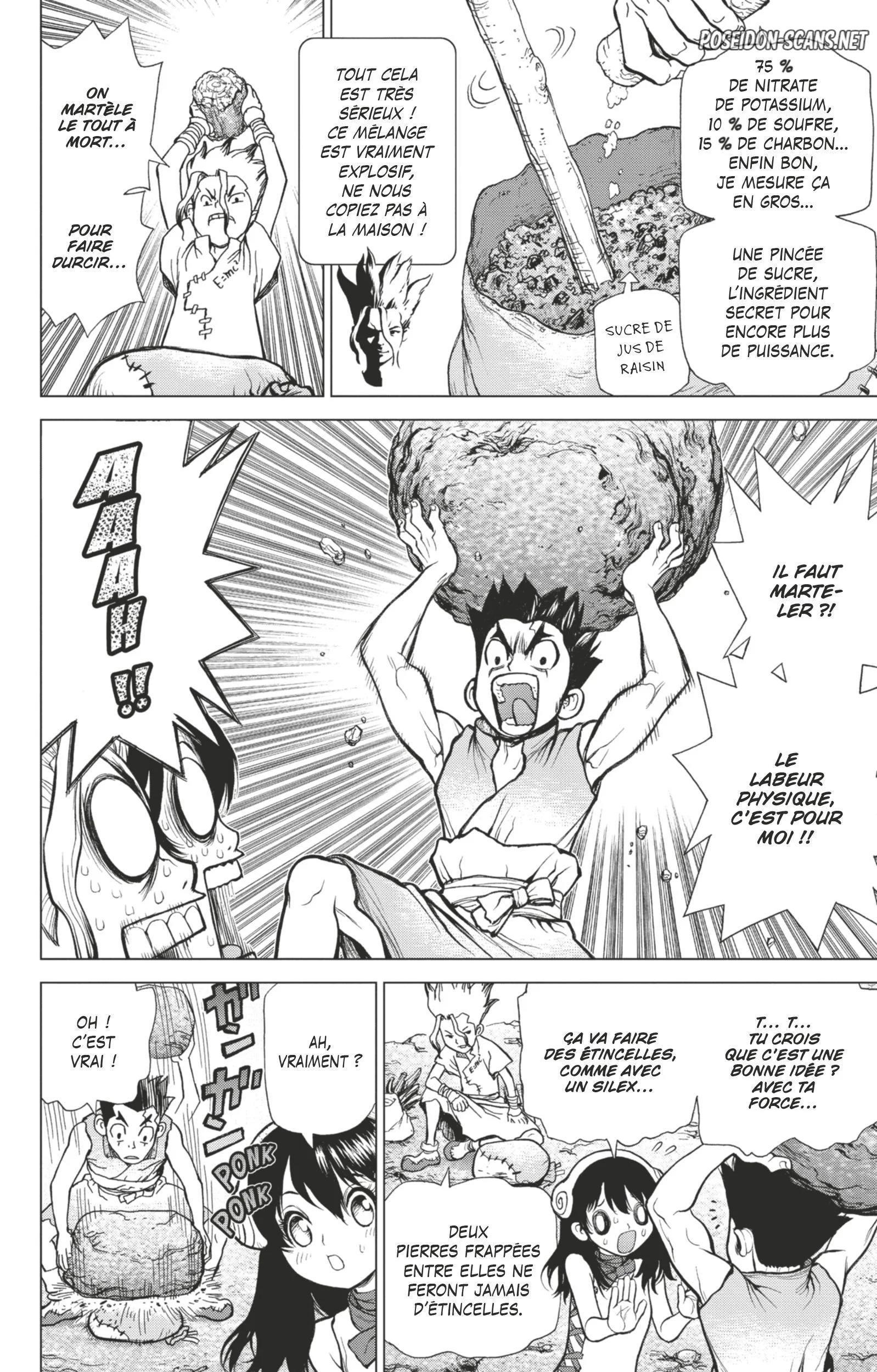 Dr. STONE Chapitre 2 - Page 13