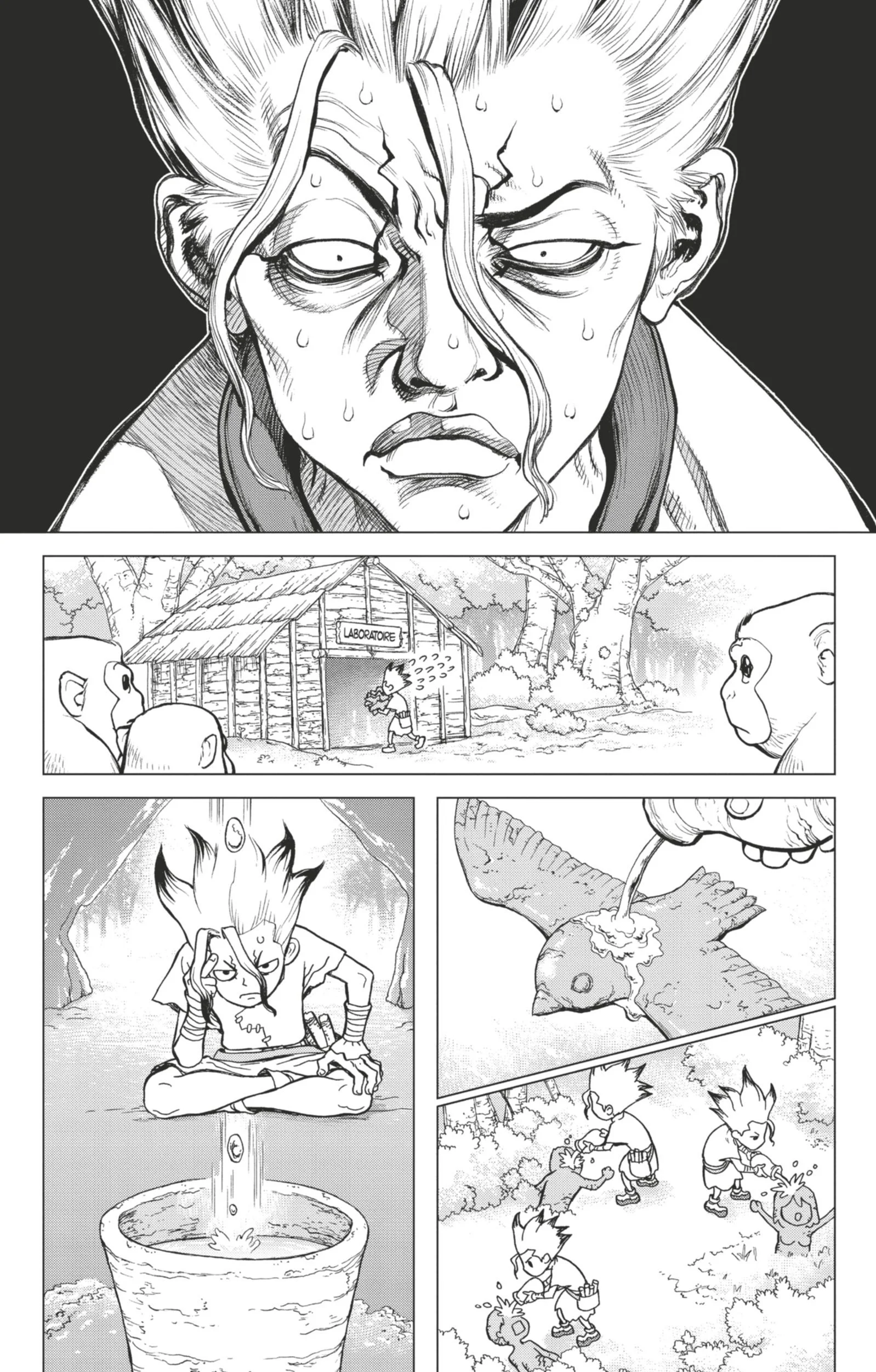Dr. STONE Chapitre 2 - Page 141
