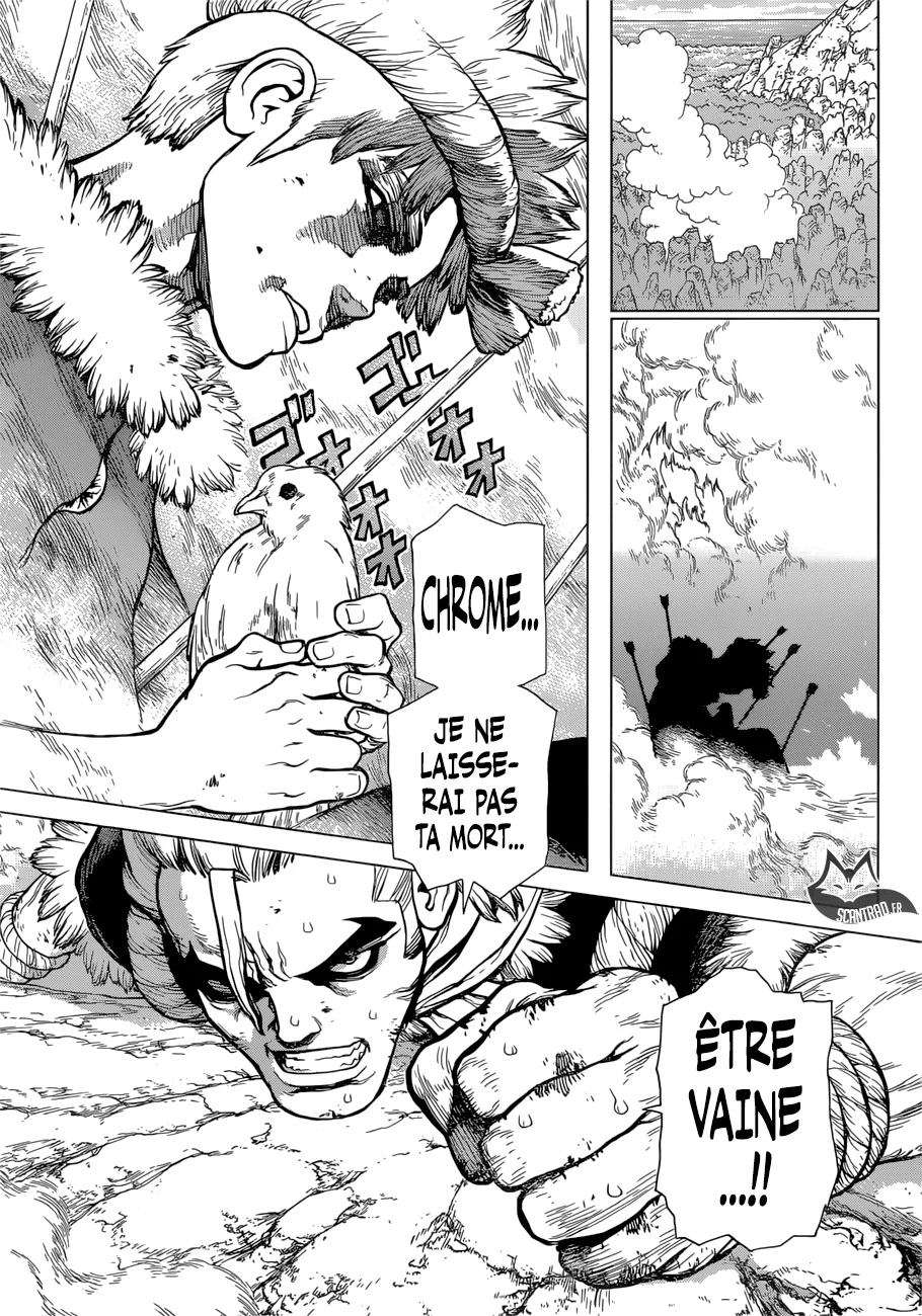 Dr. STONE Chapitre 8 - Page 101