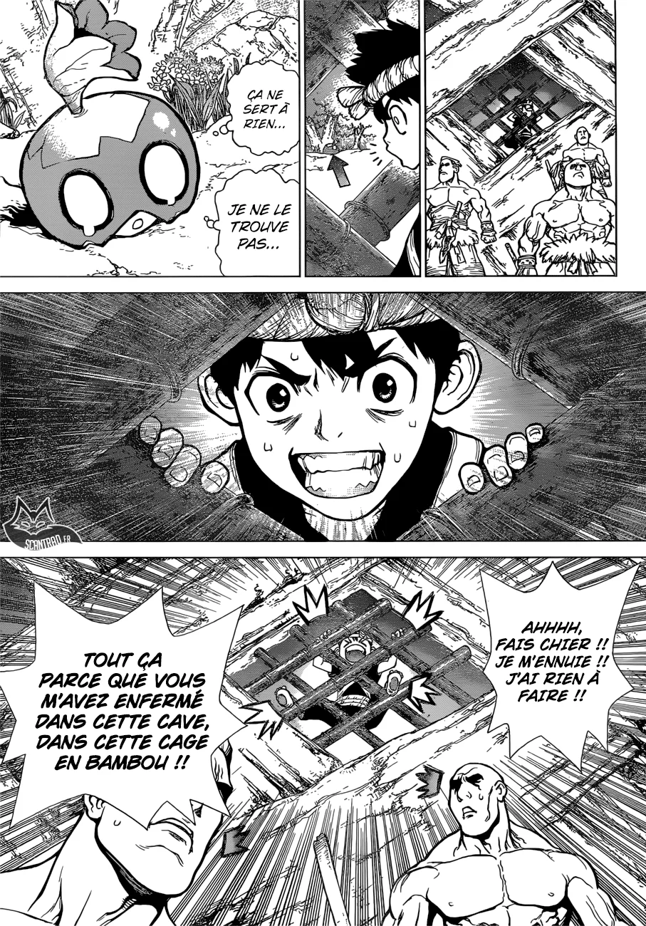 Dr. STONE Chapitre 8 - Page 143