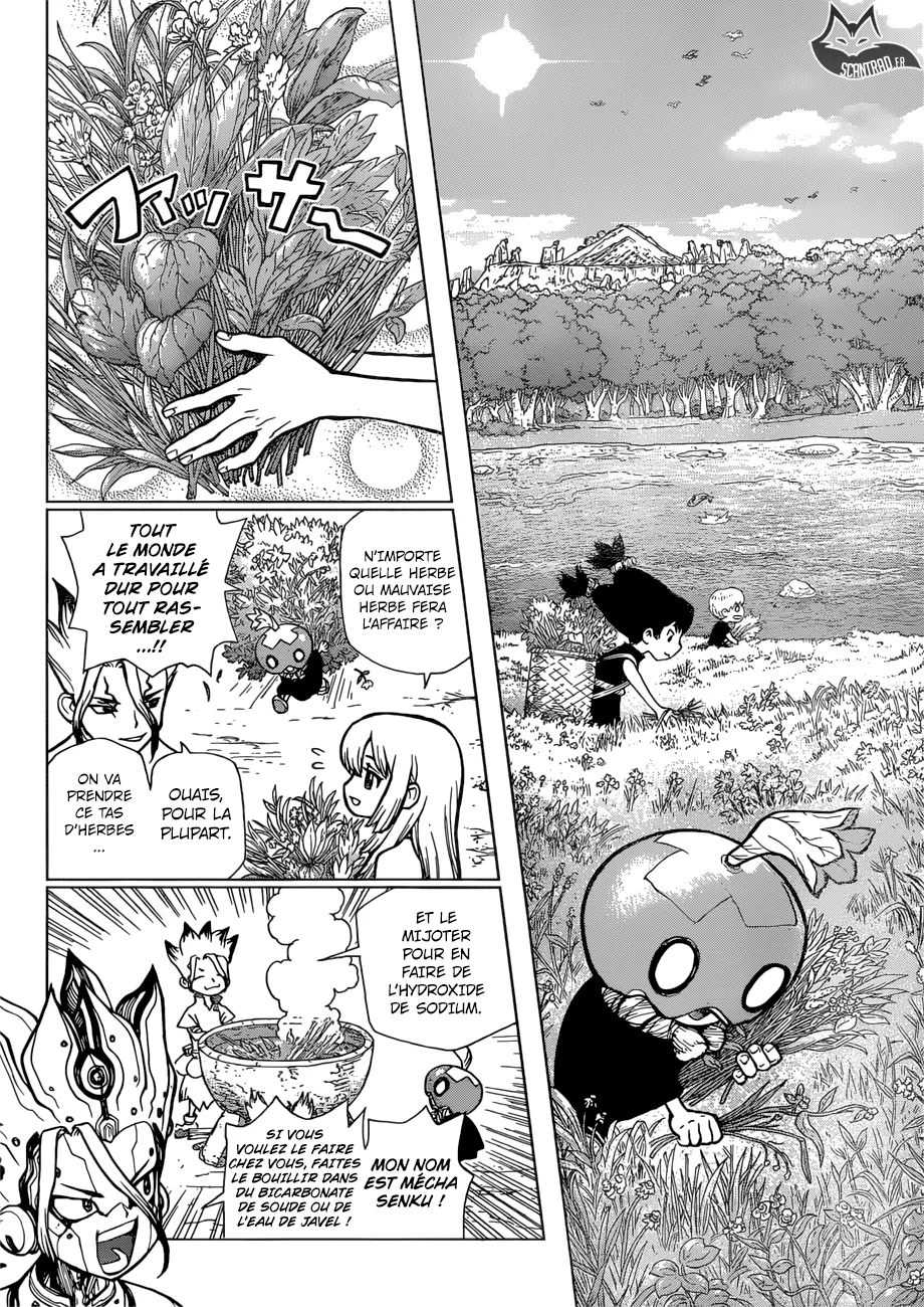 Dr. STONE Chapitre 8 - Page 149
