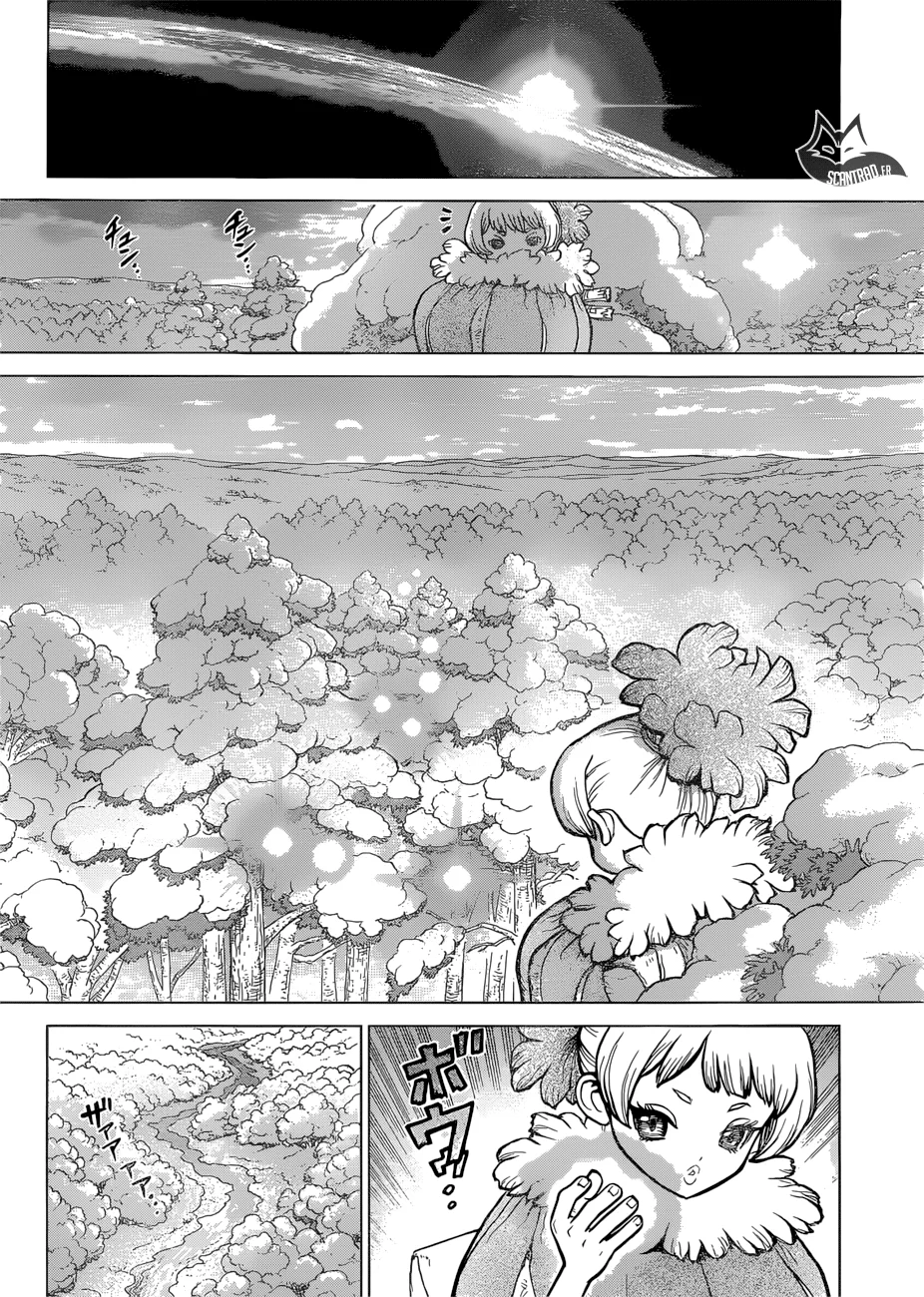 Dr. STONE Chapitre 8 - Page 29