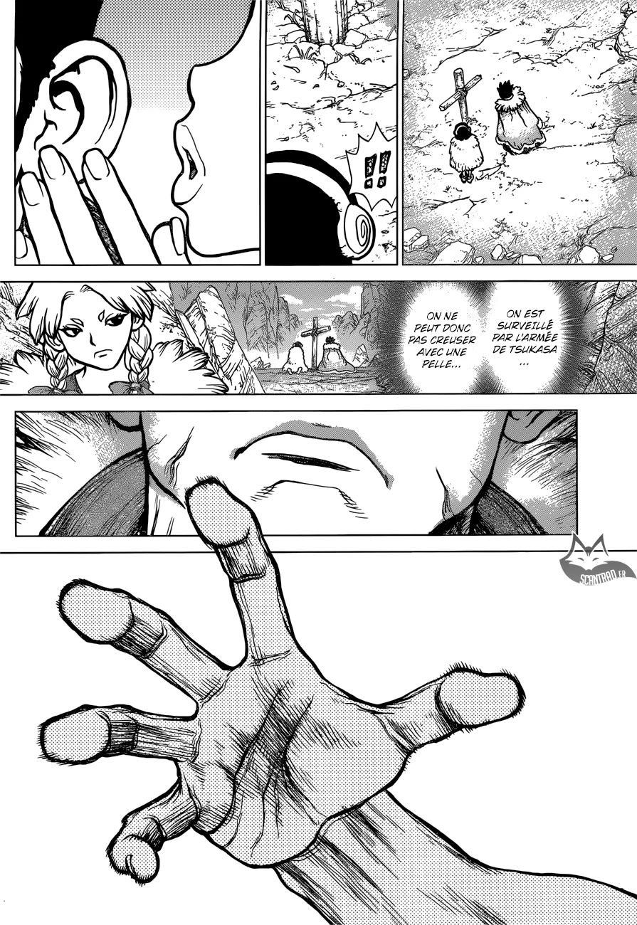 Dr. STONE Chapitre 8 - Page 53