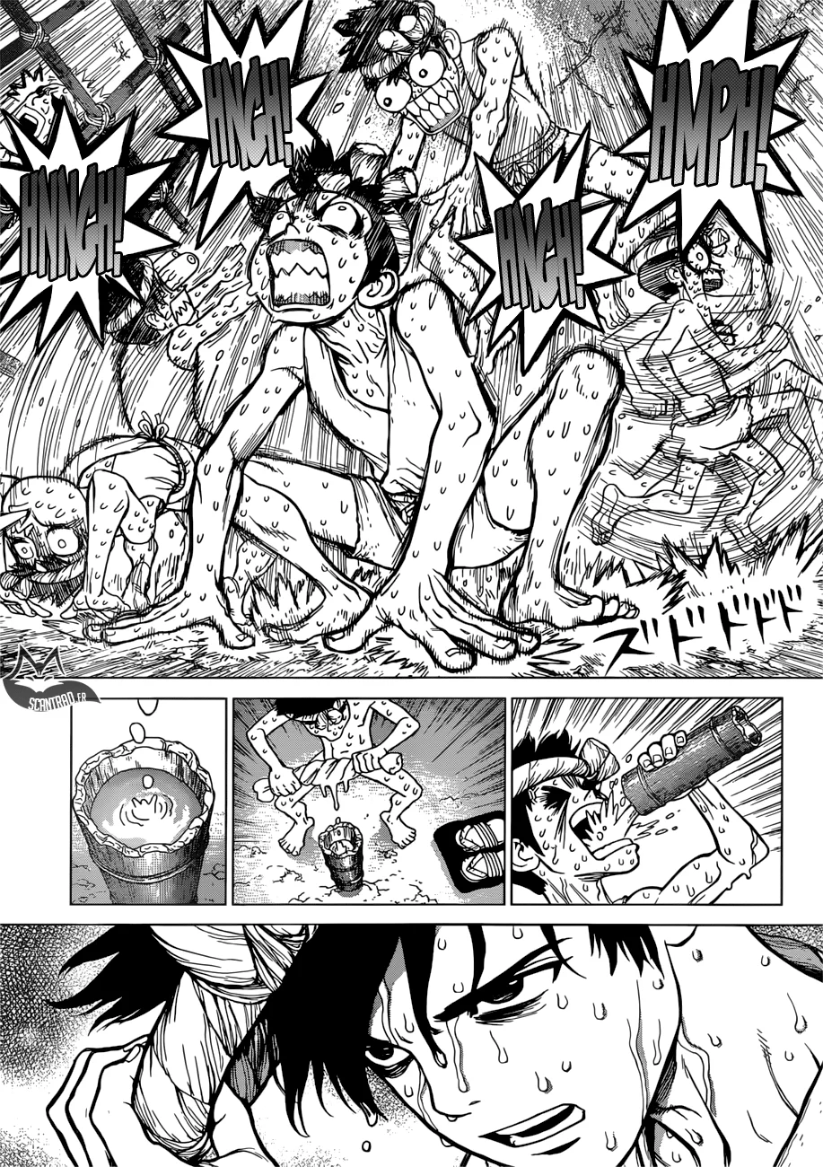 Dr. STONE Chapitre 9 - Page 17