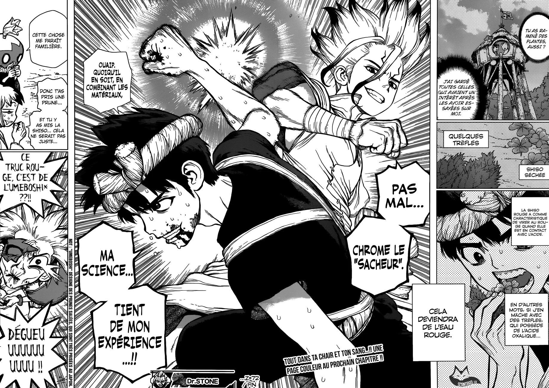 Dr. STONE Chapitre 9 - Page 36