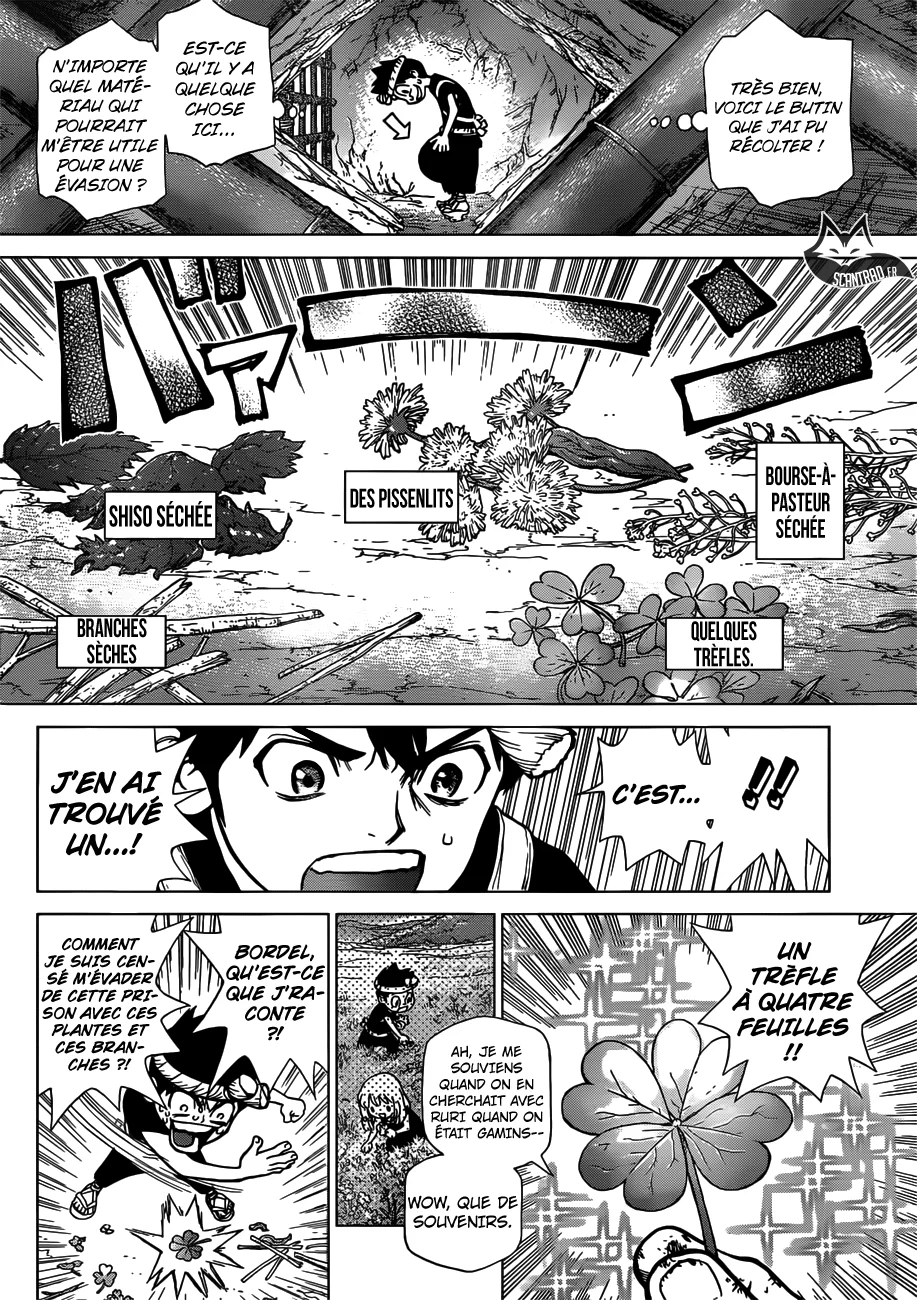 Dr. STONE Chapitre 9 - Page 8