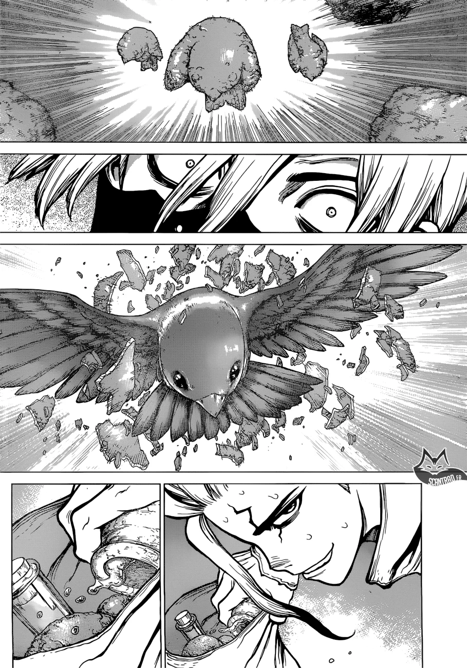 Dr. STONE Chapitre 10 - Page 14
