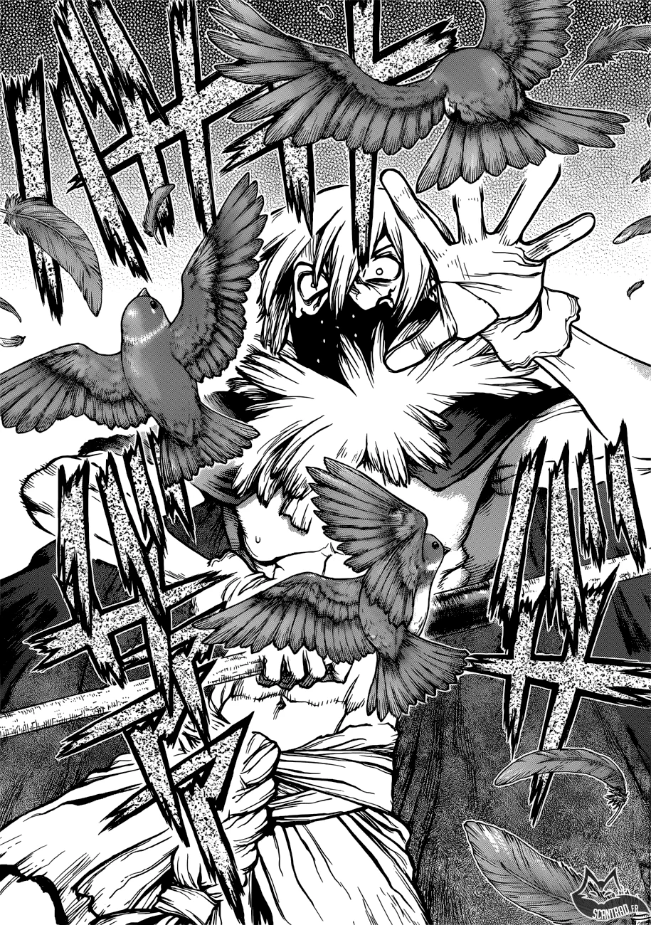 Dr. STONE Chapitre 10 - Page 15