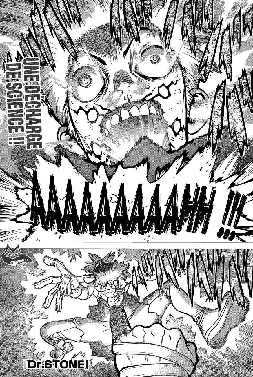 Dr. STONE Chapitre 10 - Page 35