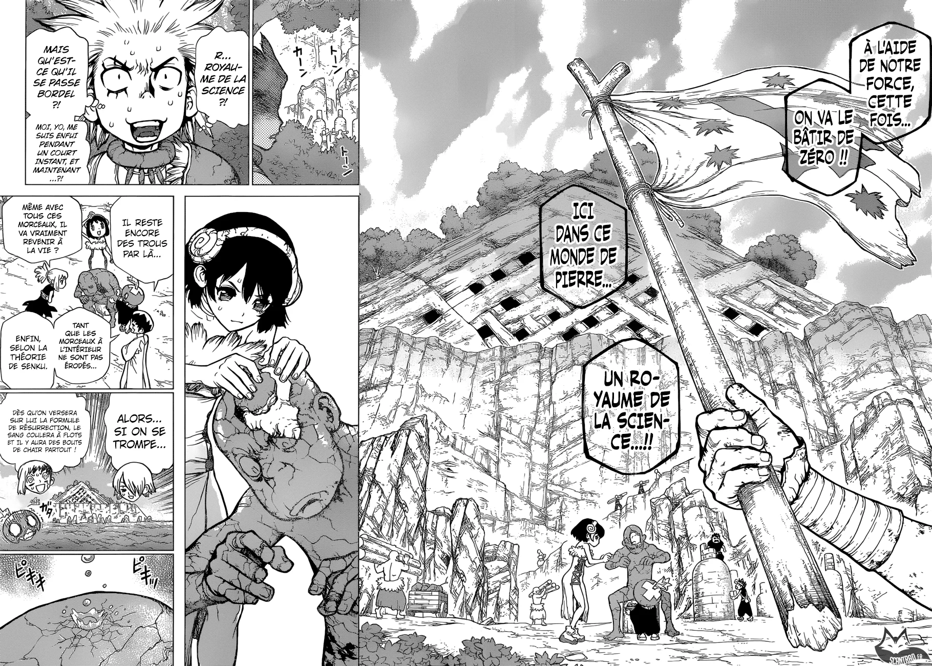 Dr. STONE Chapitre 10 - Page 42