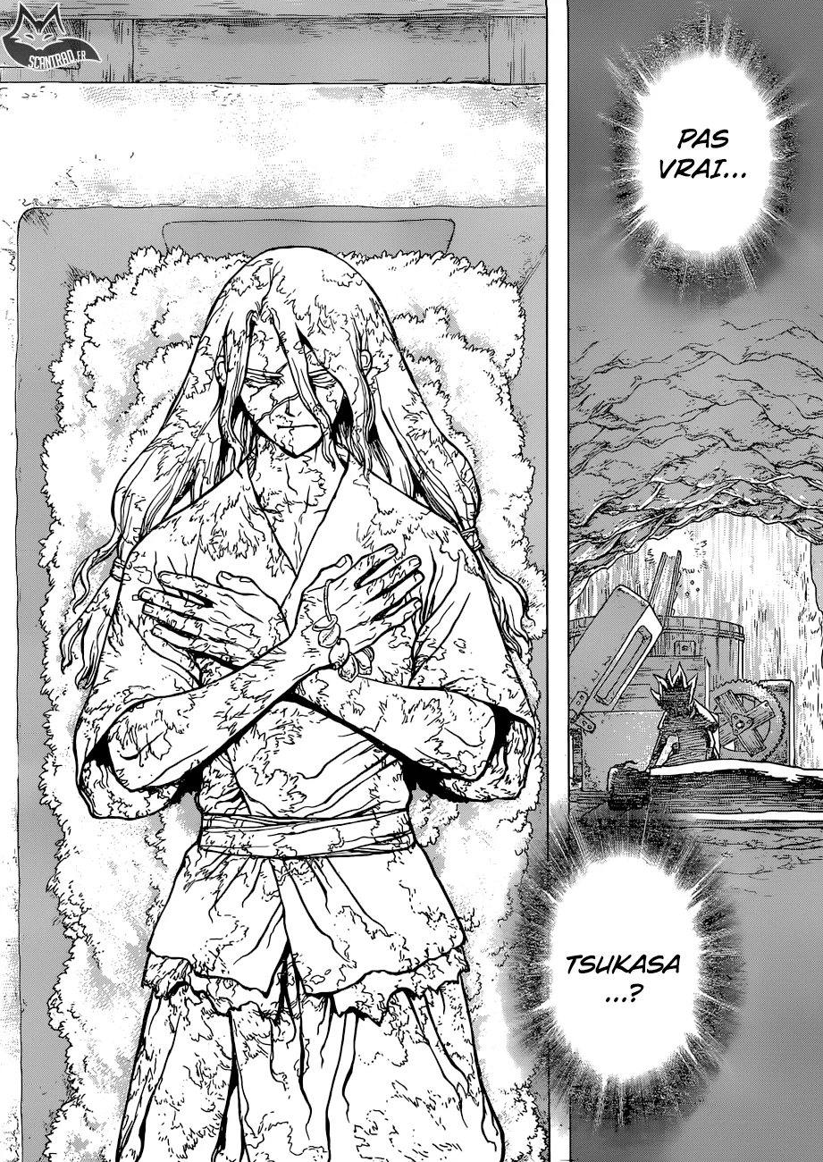 Dr. STONE Chapitre 10 - Page 71