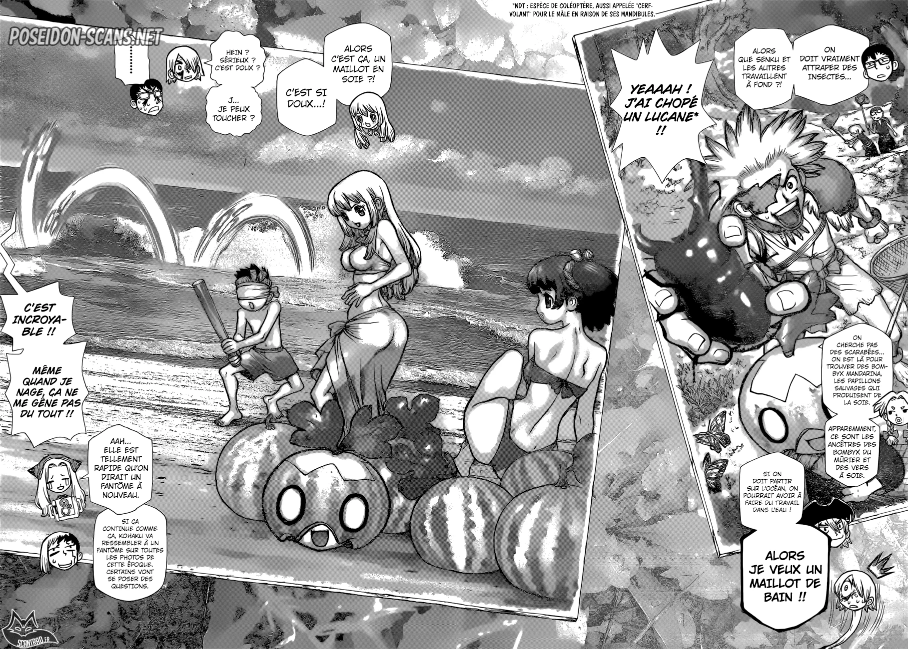 Dr. STONE Chapitre 12 - Page 31