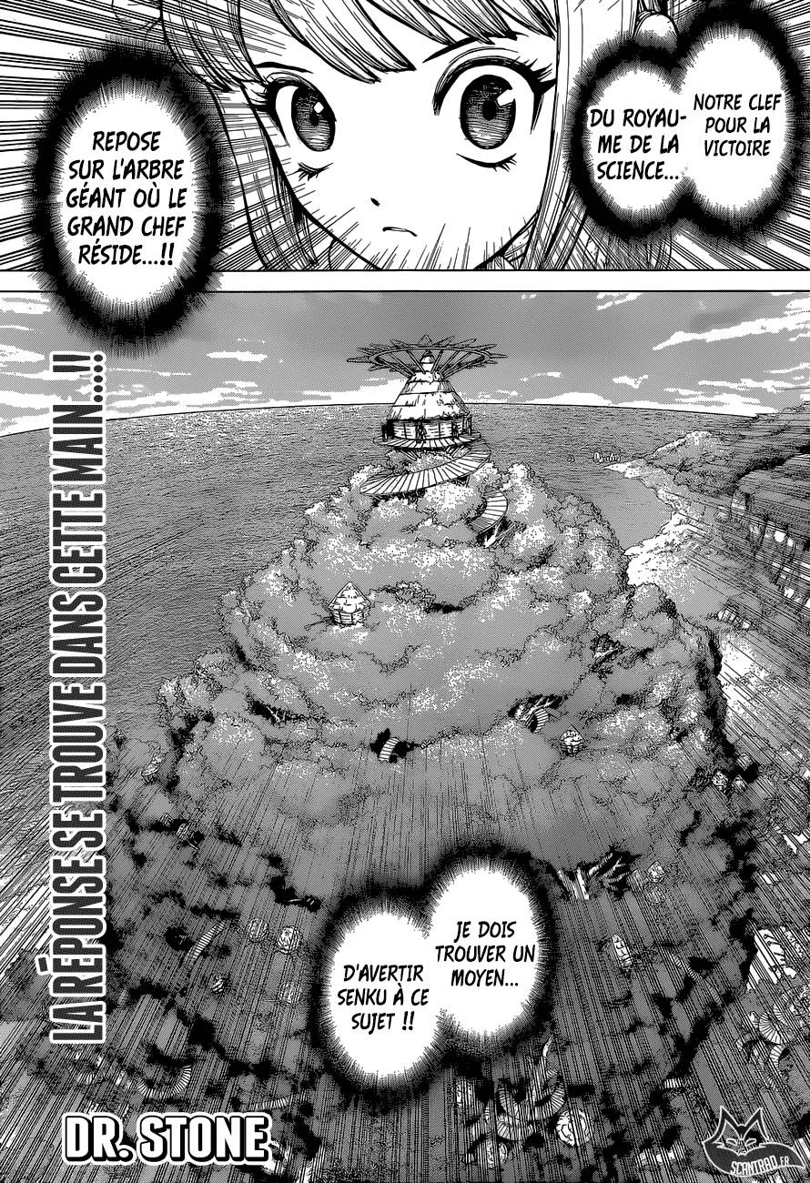 Dr. STONE Chapitre 13 - Page 119