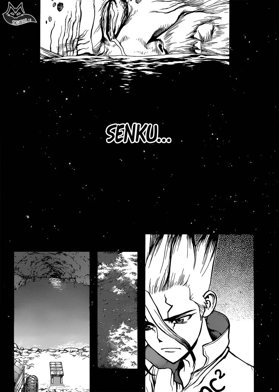 Dr. STONE Chapitre 13 - Page 171