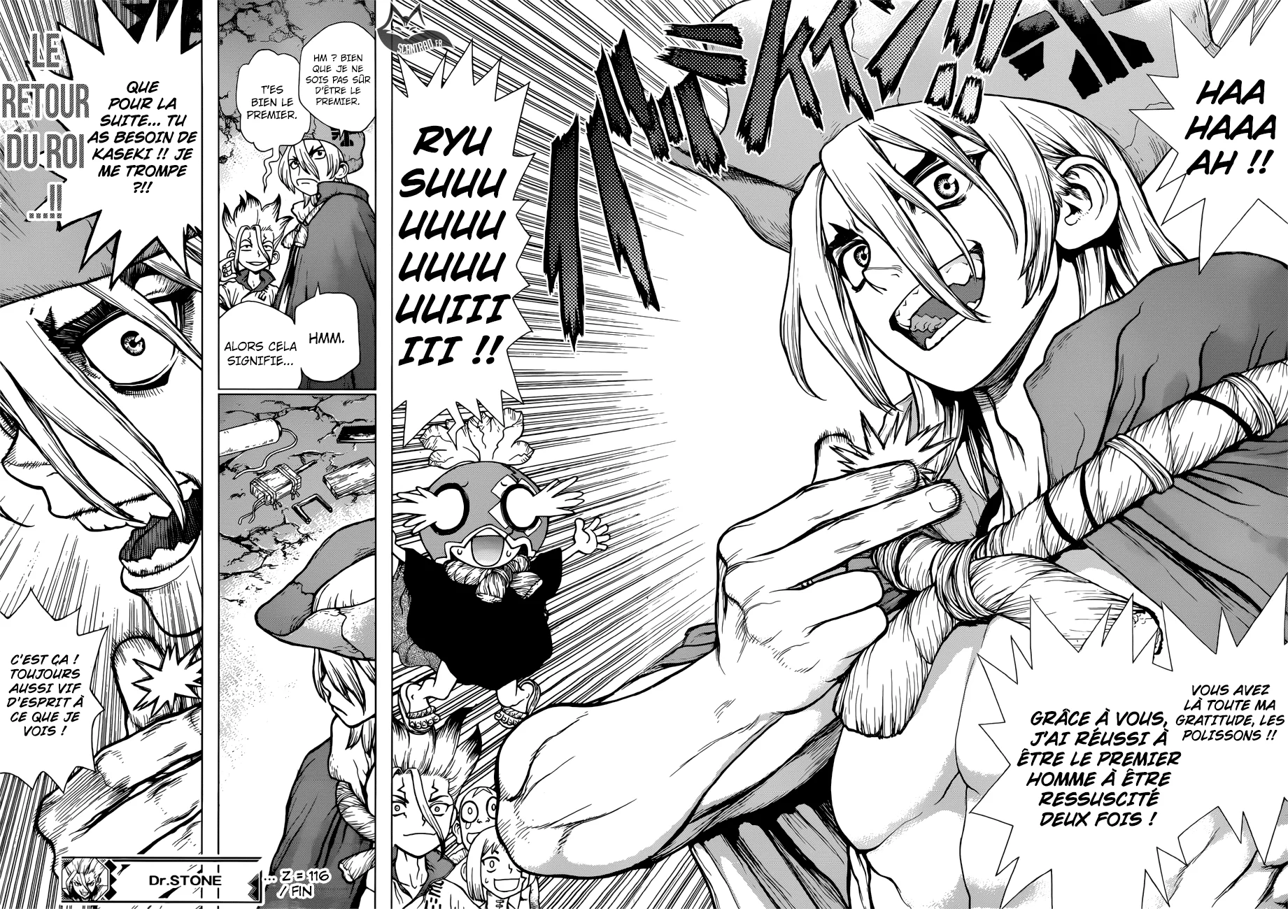 Dr. STONE Chapitre 14 - Page 17