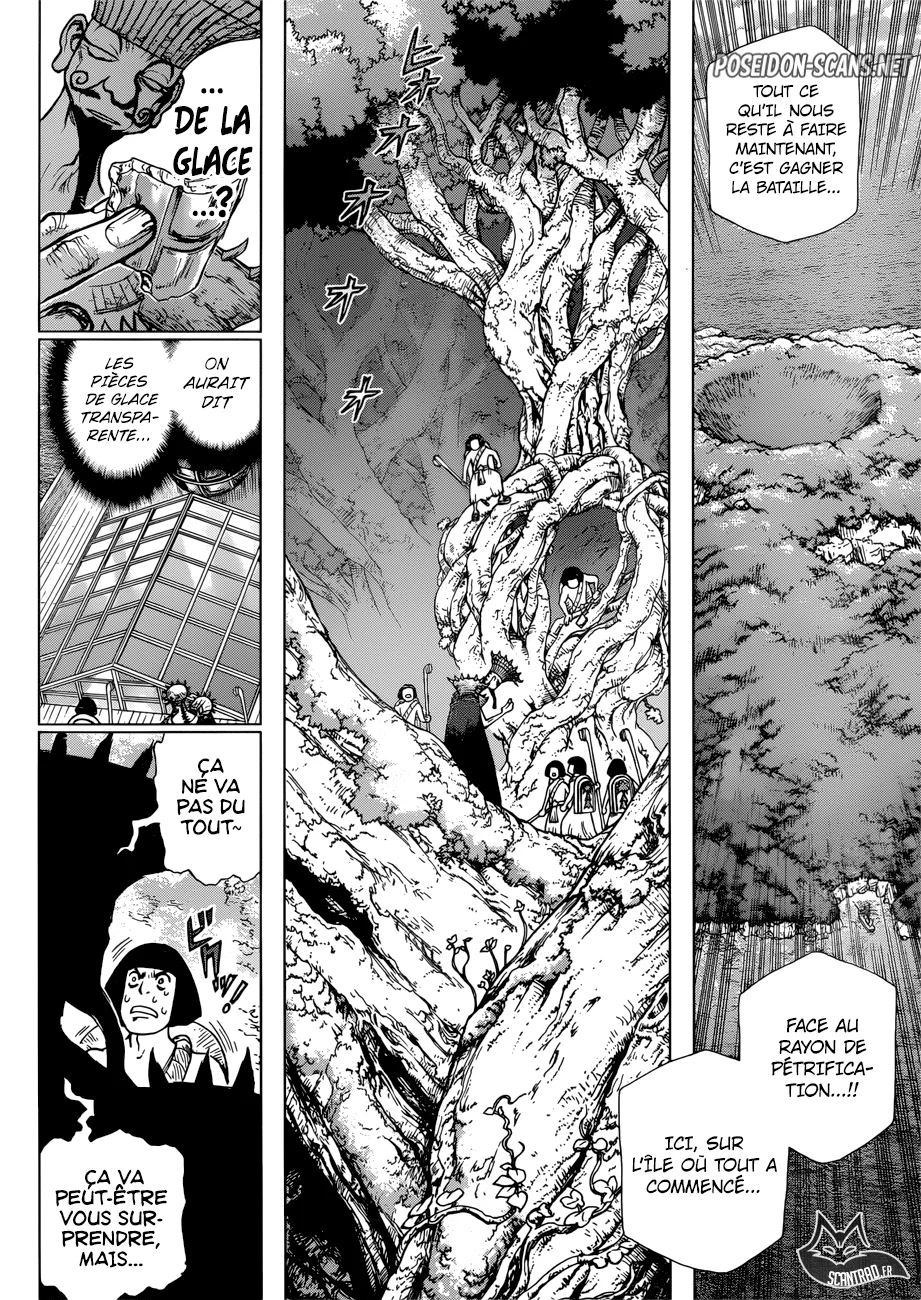 Dr. STONE Chapitre 14 - Page 4