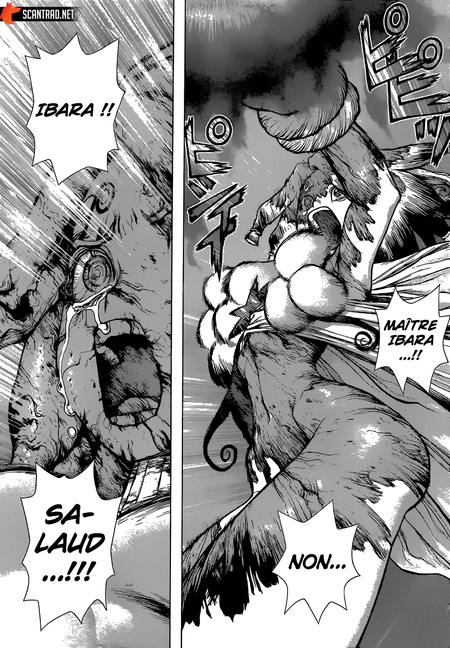Dr. STONE Chapitre 15 - Page 119