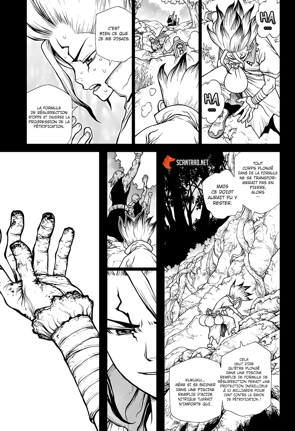 Dr. STONE Chapitre 16 - Page 29