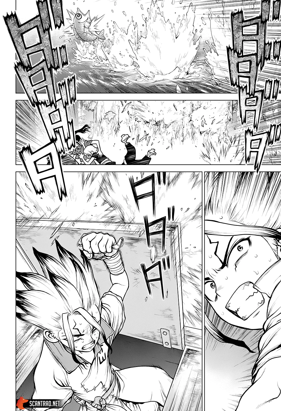 Dr. STONE Chapitre 17 - Page 120
