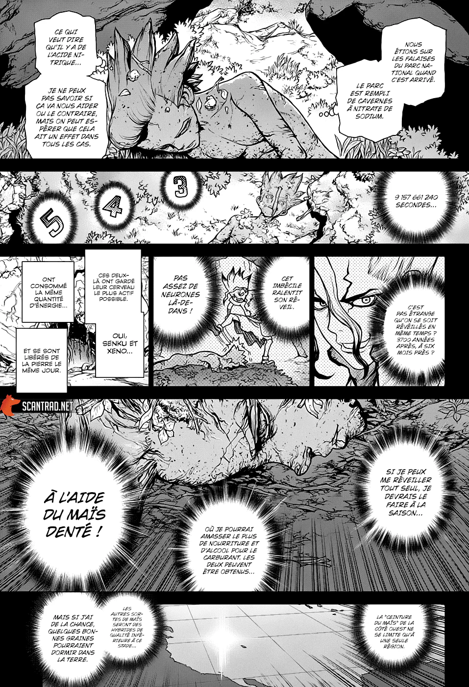 Dr. STONE Chapitre 18 - Page 101