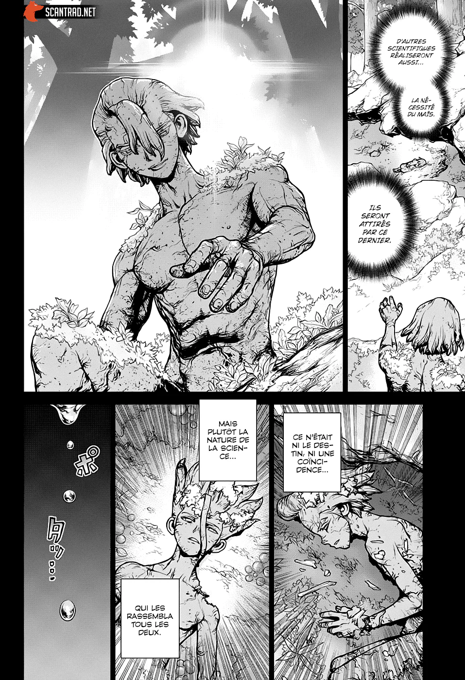 Dr. STONE Chapitre 18 - Page 102