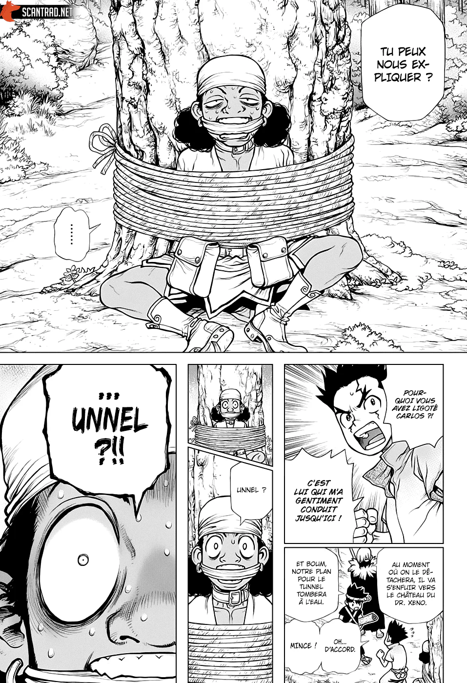 Dr. STONE Chapitre 19 - Page 33