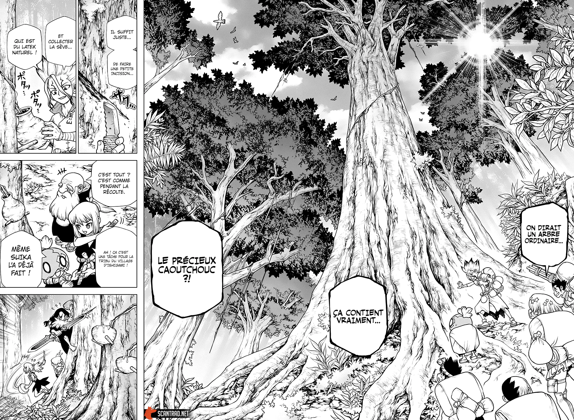 Dr. STONE Chapitre 20 - Page 83