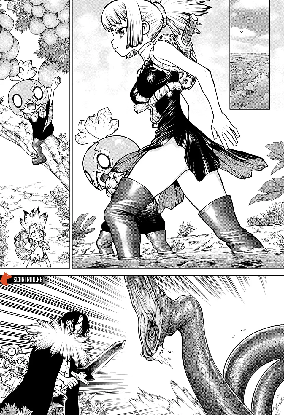 Dr. STONE Chapitre 180 - Page 5