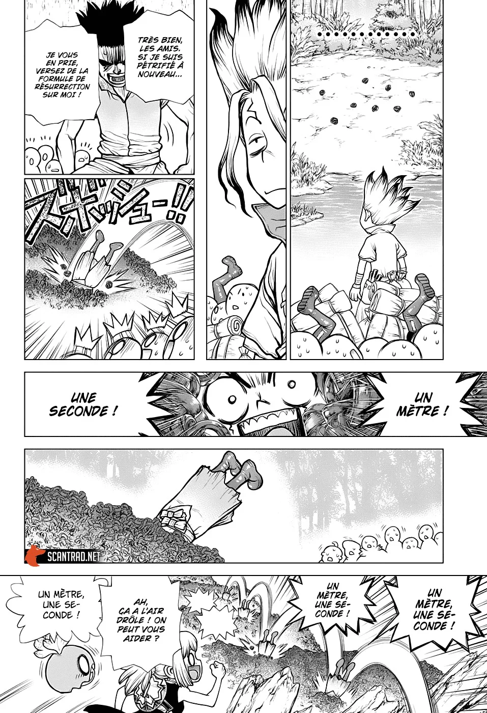 Dr. STONE Chapitre 181 - Page 5