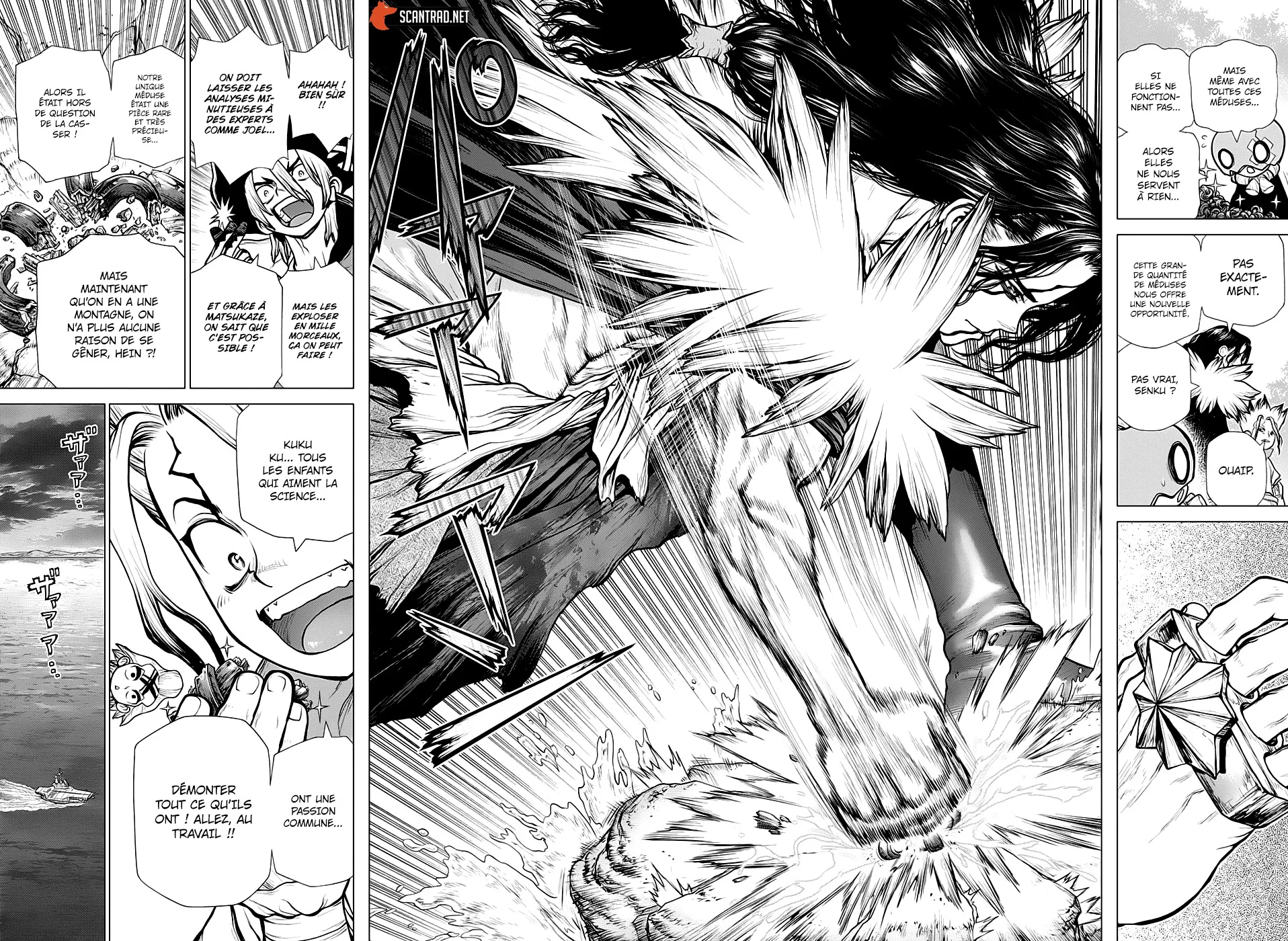 Dr. STONE Chapitre 181 - Page 9