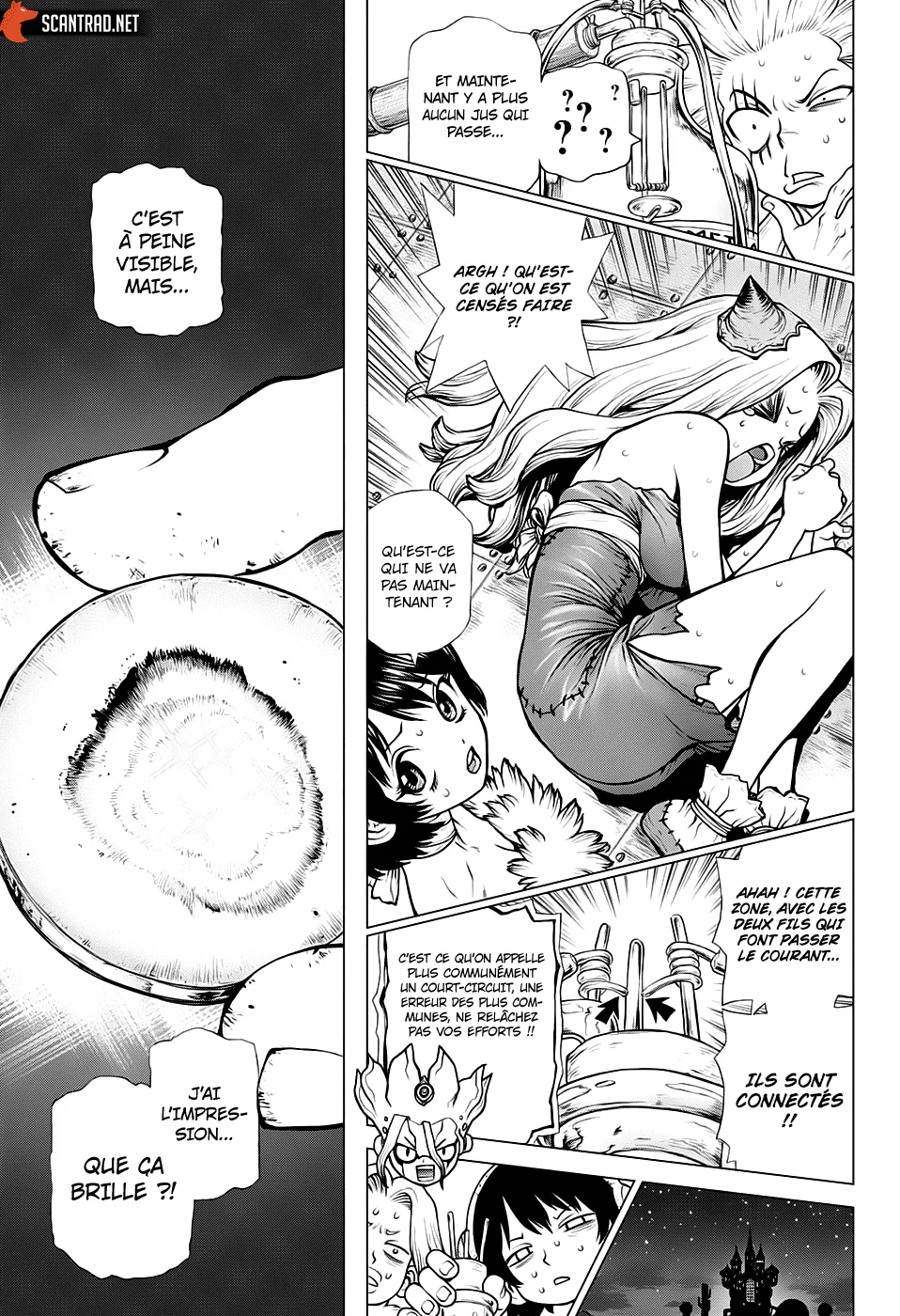 Dr. STONE Chapitre 182 - Page 15
