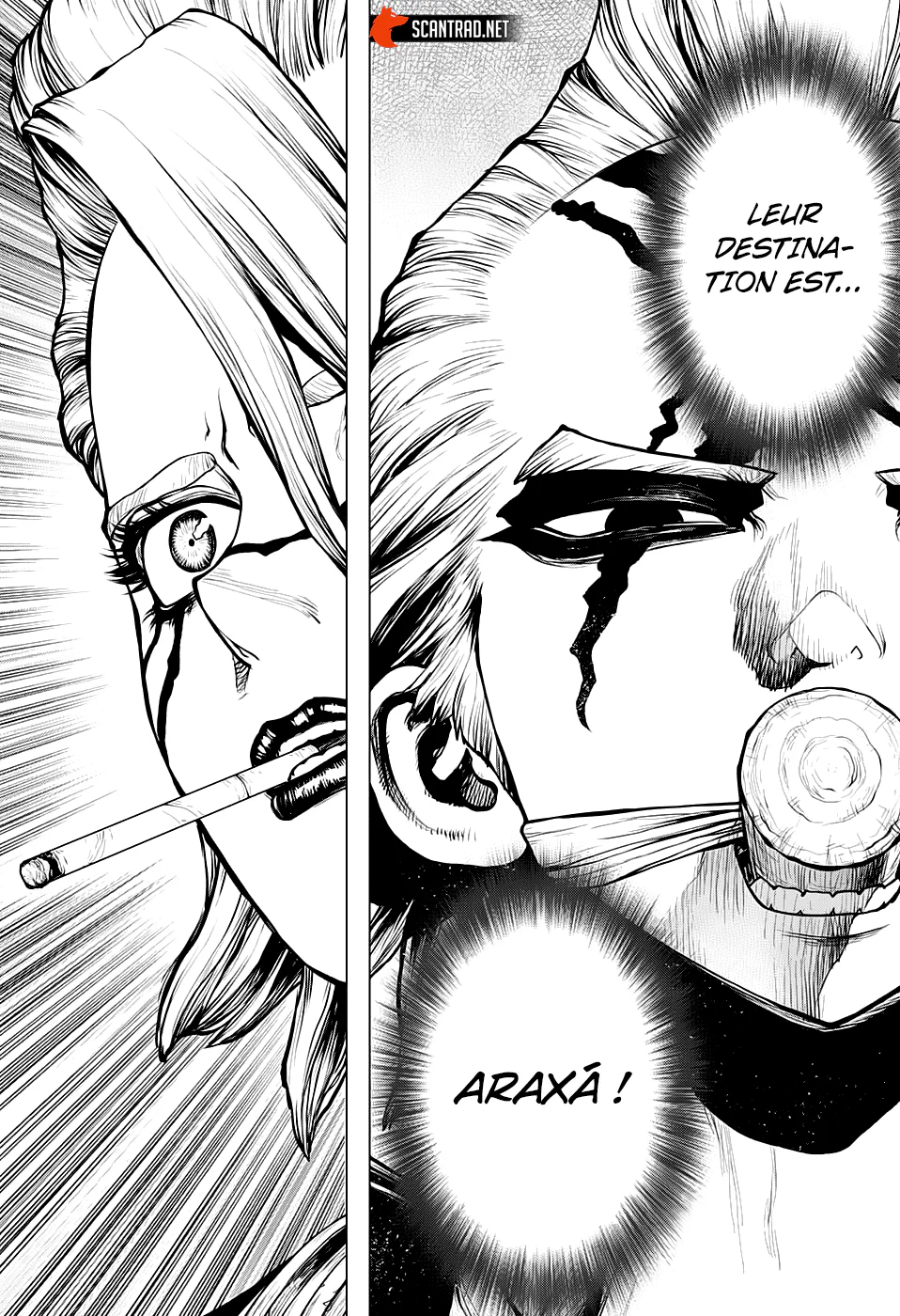 Dr. STONE Chapitre 183 - Page 12