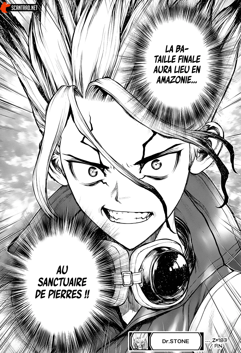 Dr. STONE Chapitre 183 - Page 17