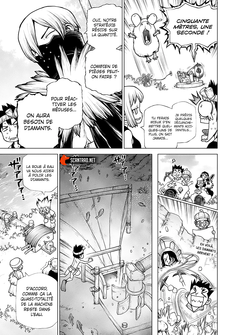 Dr. STONE Chapitre 184 - Page 11