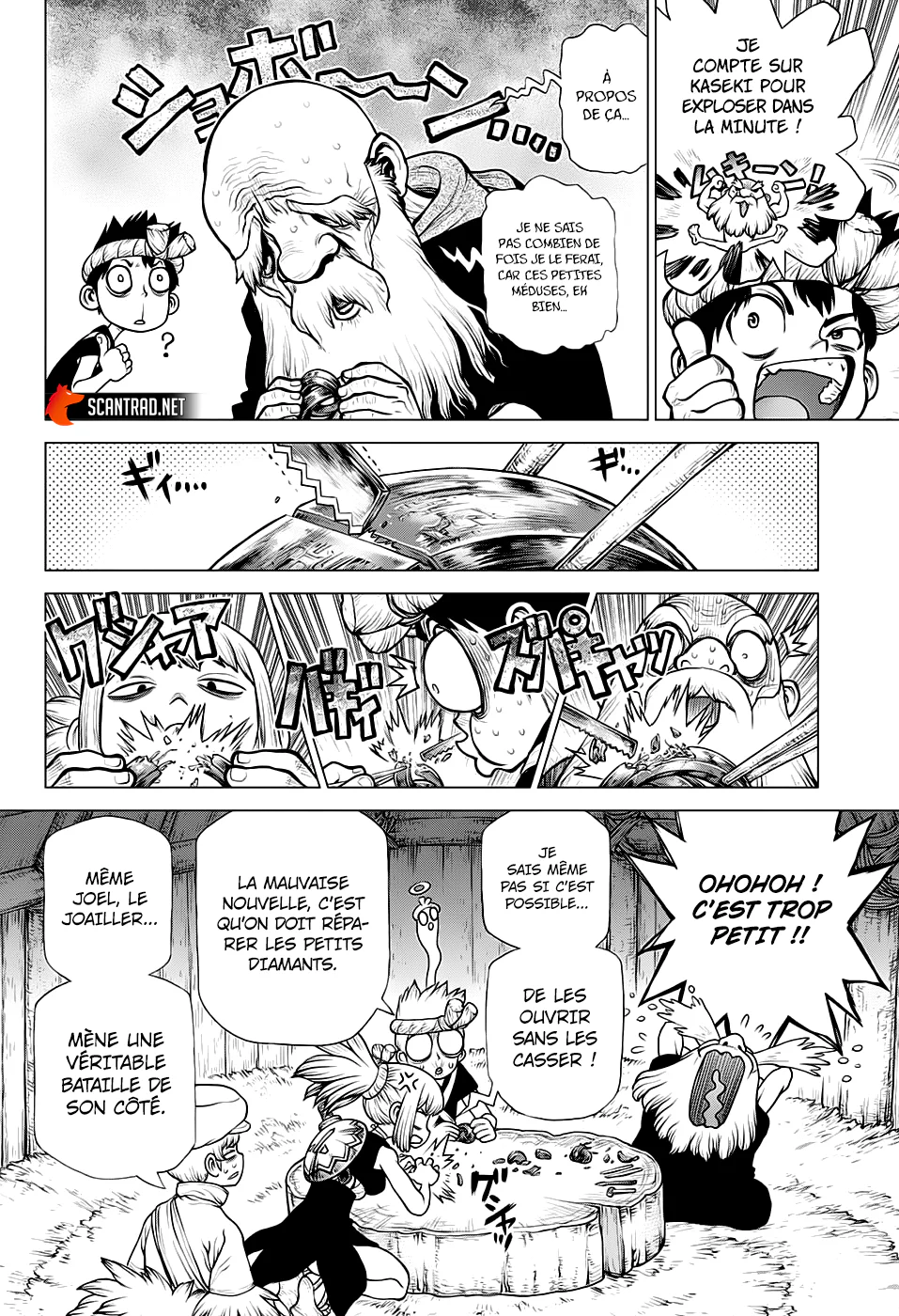 Dr. STONE Chapitre 184 - Page 12