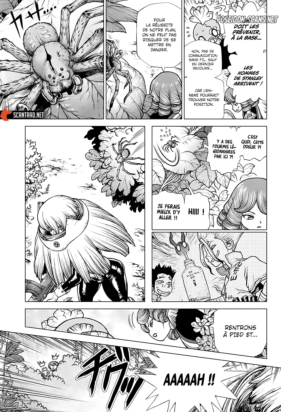 Dr. STONE Chapitre 185 - Page 13