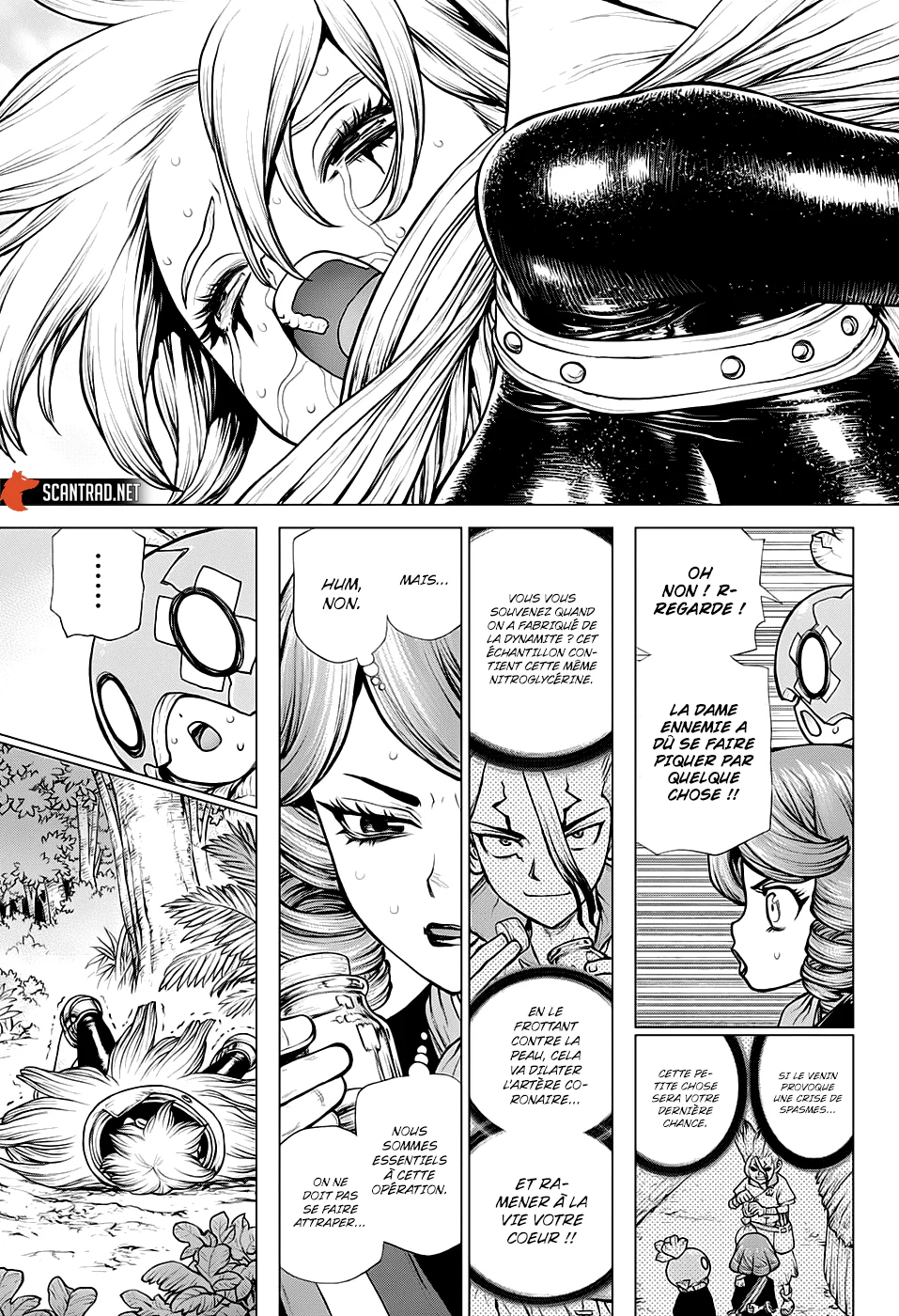 Dr. STONE Chapitre 185 - Page 15