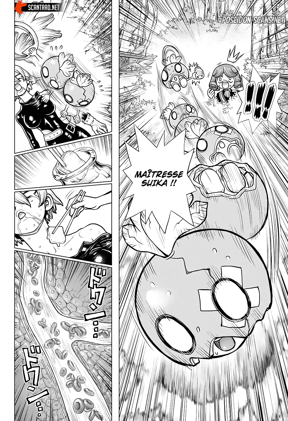 Dr. STONE Chapitre 185 - Page 16