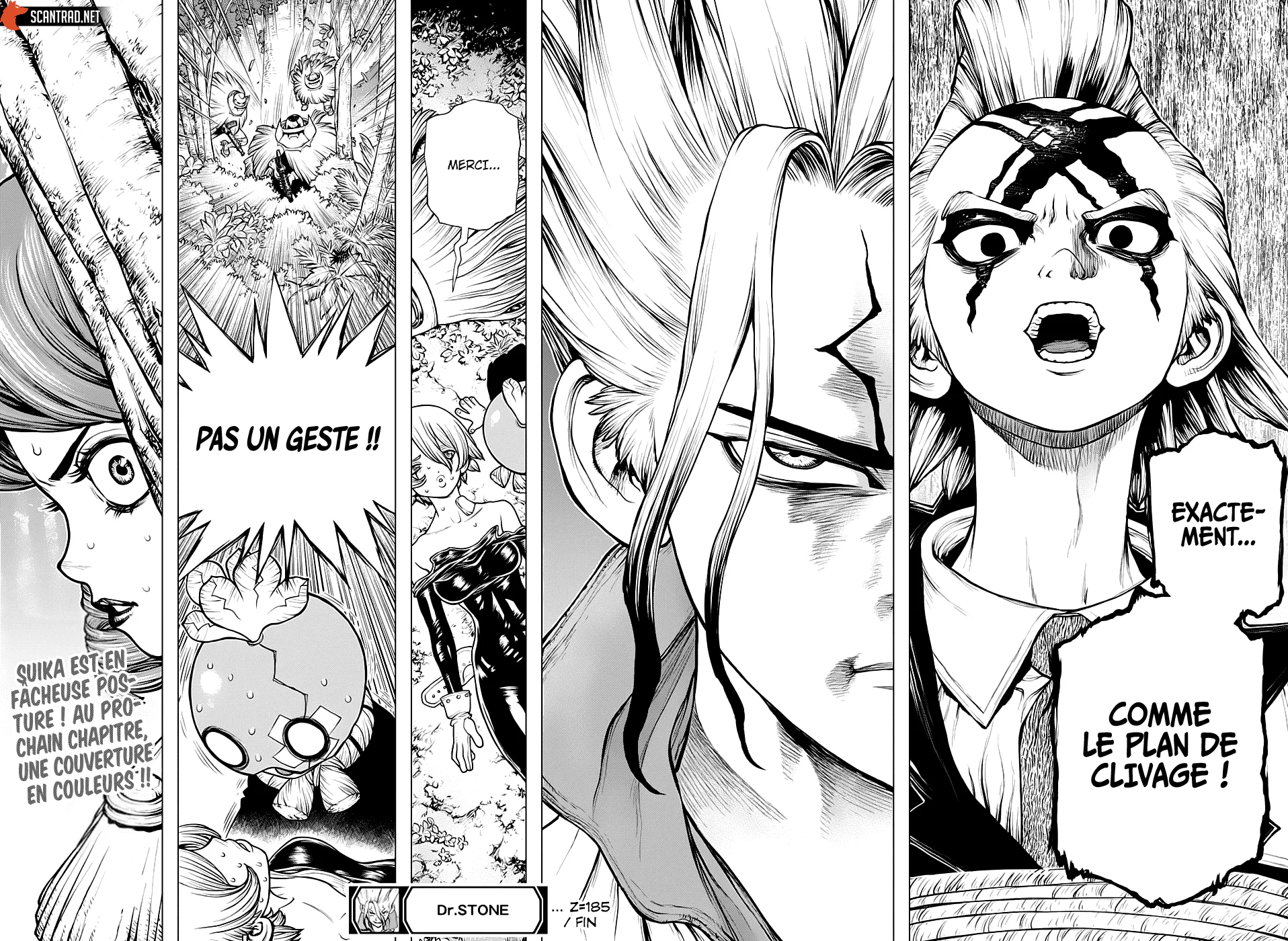 Dr. STONE Chapitre 185 - Page 18